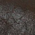 Canyon: Walnut